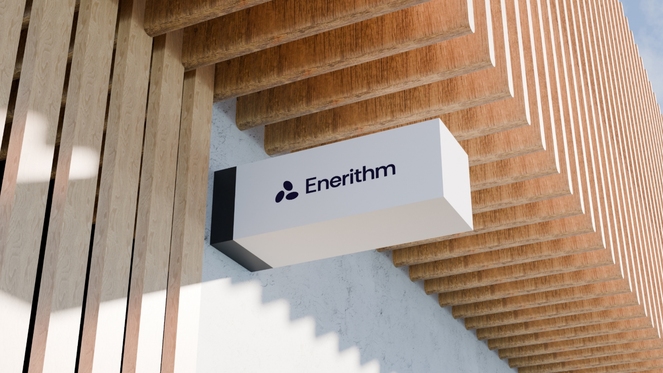 Enerithm case study visual 3