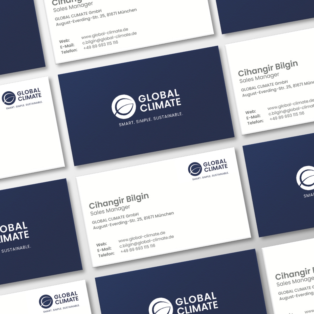 GLOBAL CLIMATE case study visual 6